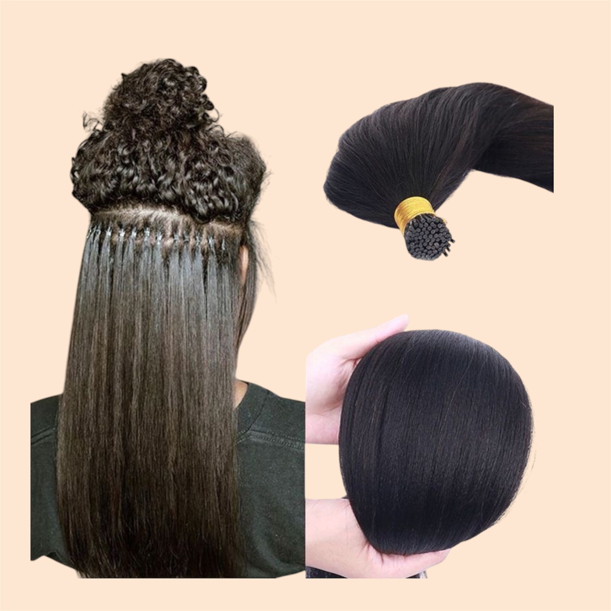 Straight (Royal Orchid)