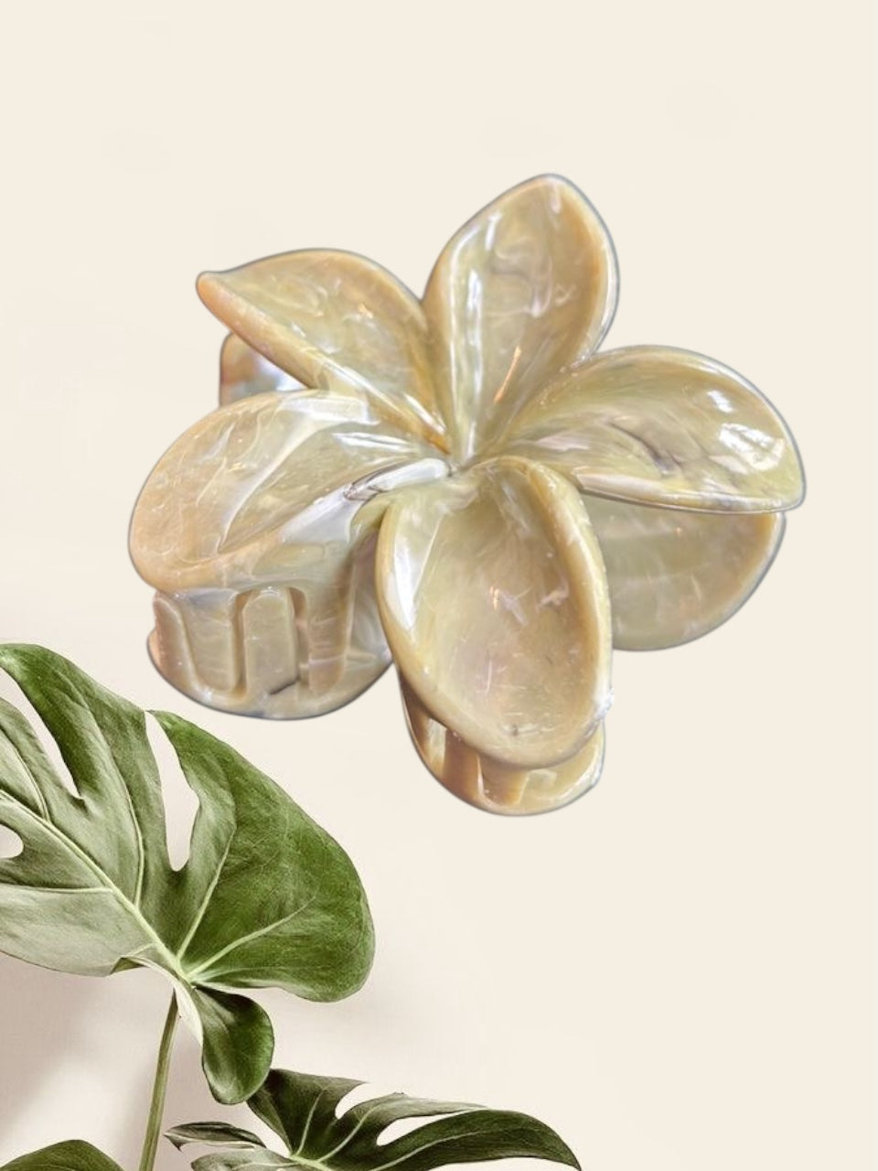 Pince Flower Tropical Kaki