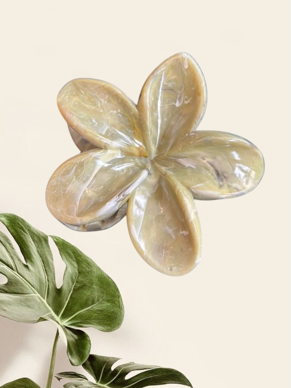Pince Flower Tropical Kaki