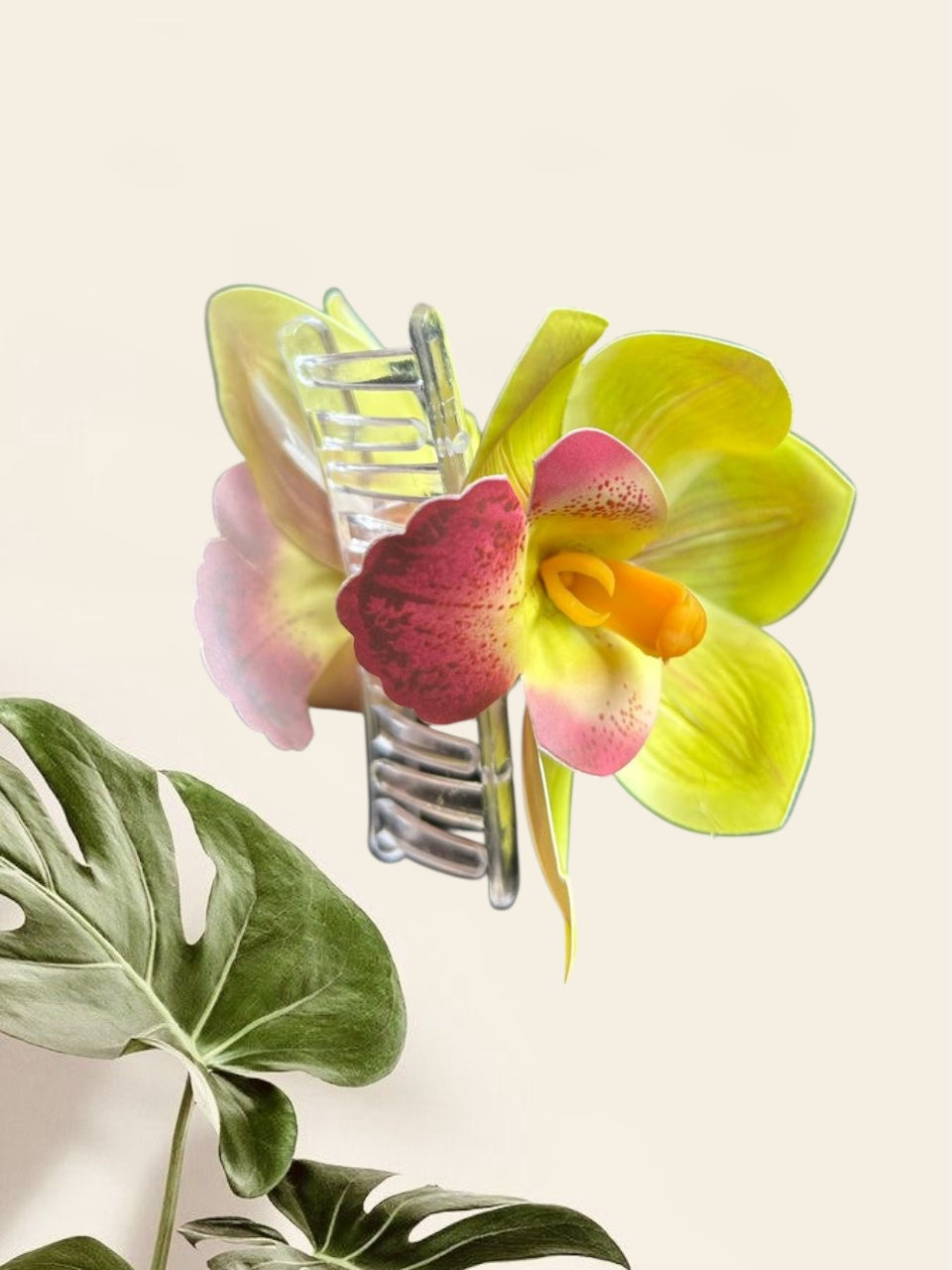 Pince Flower Orchid Pomme