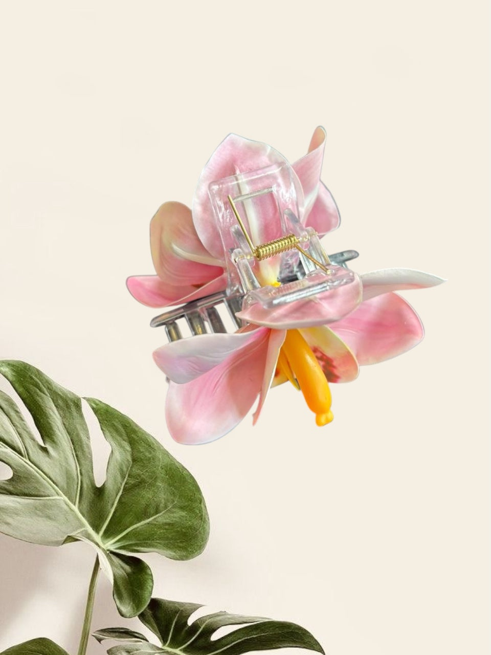 Pince Flower Orchid Rosy